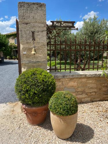 Фотографии гостевого дома
Mas Serena