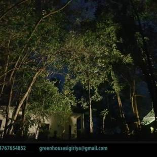 Фотографии гостиницы
Green House Resort