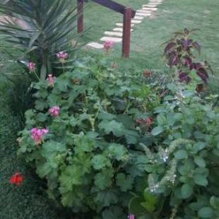 Фотографии мини отеля
Hotel Pousada Marra