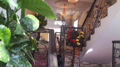 Фотография гостиницы NODO