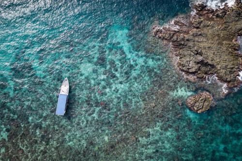 Фотография гостиницы Murex Dive Resort