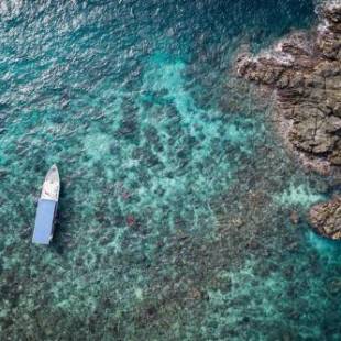 Фотографии гостиницы
Murex Dive Resort