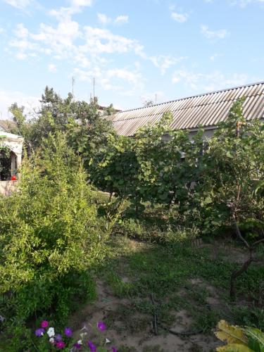 Фотография гостевого дома Экодача