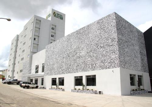 Фотография гостиницы Hotel Áster