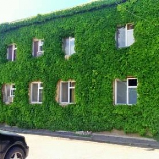 Фотография гостиницы Hohel Lilo