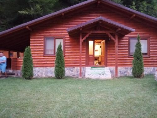 Фотография гостевого дома Cabana Dan