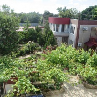 Фотография гостевого дома Весёлая утка