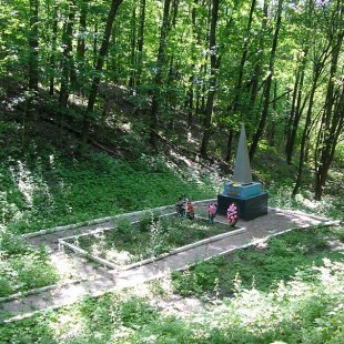 Фотография памятника Памятник На месте расстрелянных жителей Льгова