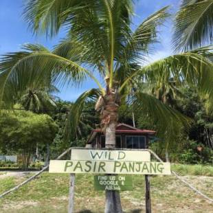 Фотографии мини отеля
Wild Pasir Panjang