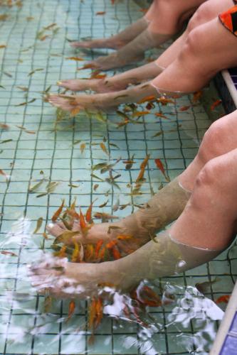 Фотография гостиницы Jenq Yang Hotspring Hotel