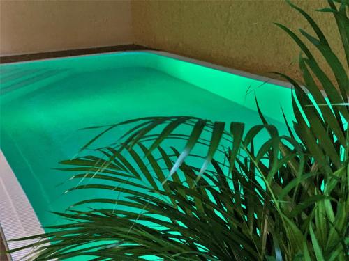 Фотография гостиницы SPA&Hotel MŪSA PARADISE