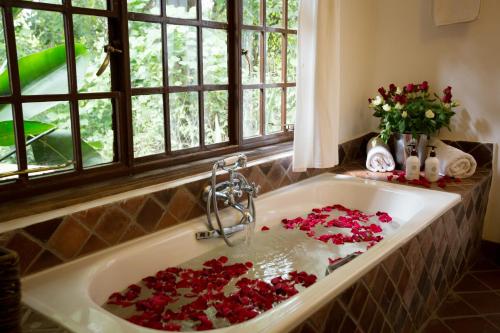 Фотография гостиницы Rivertrees Country Inn