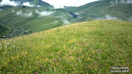 Фотография мини отеля АРФÆ