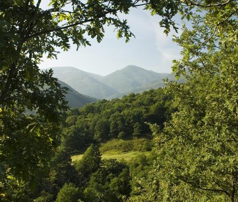 Фотография гостиницы Hostal casa lucas