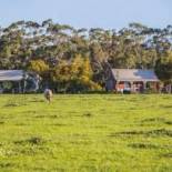 Фотография базы отдыха Freshwater Creek Cottages & Farm Stay