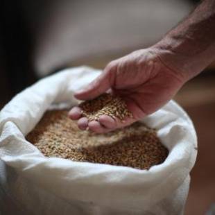 Фотографии базы отдыха 
            Settecentoalberi Agriturismo