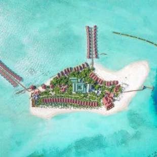 Фотография гостиницы Dhigufaru Island Resort