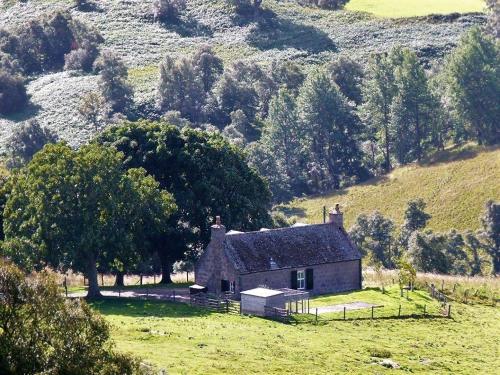 Фотография гостевого дома West Gorton