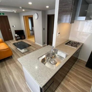 Фотография гостевого дома Platinum.Kiyomizu