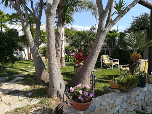 Фотография гостевого дома Rustico San Leonardo