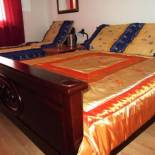 Фотография мини отеля Dworek w Zieleni