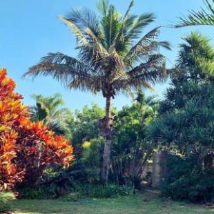 Фотографии гостевого дома
The Wilds Guest House