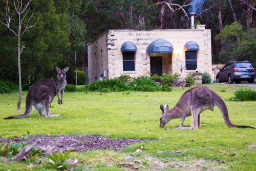 Фотография базы отдыха Marwood Luxury Villas