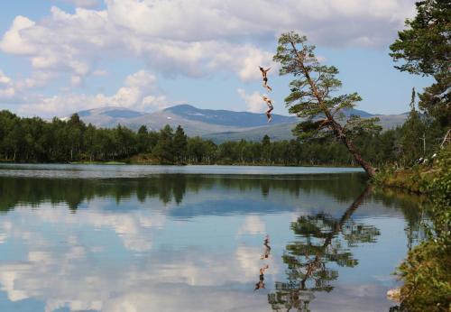 Фотография гостиницы Vålådalens Fjällstation