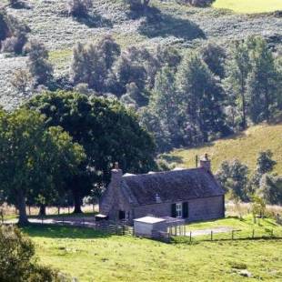 Фотографии гостевого дома 
            West Gorton