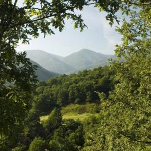 Фотографии гостиницы
Hostal casa lucas