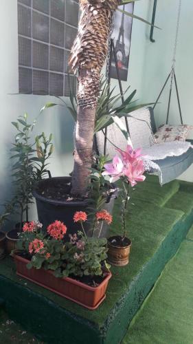 Фотография гостевого дома Оазис