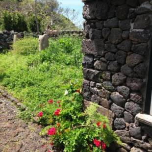 Фотографии гостевого дома
Quinta dos Frutos