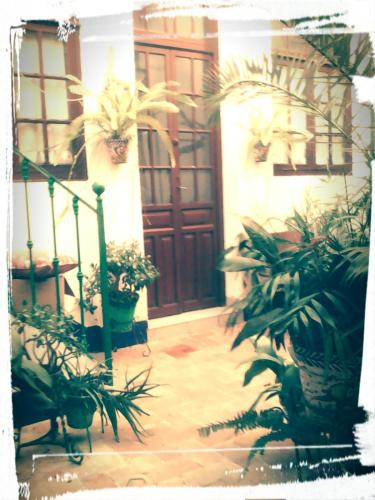 Фотография мини отеля La Casa del Cura 1935