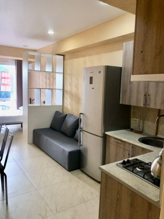 Фотография квартиры Квартира Просторная студия в Дагомысе