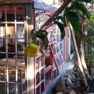 Фотография мини отеля Pousada Amaravida