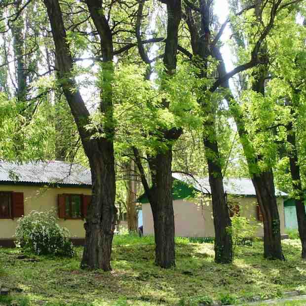 Фотографии базы отдыха
Чайка