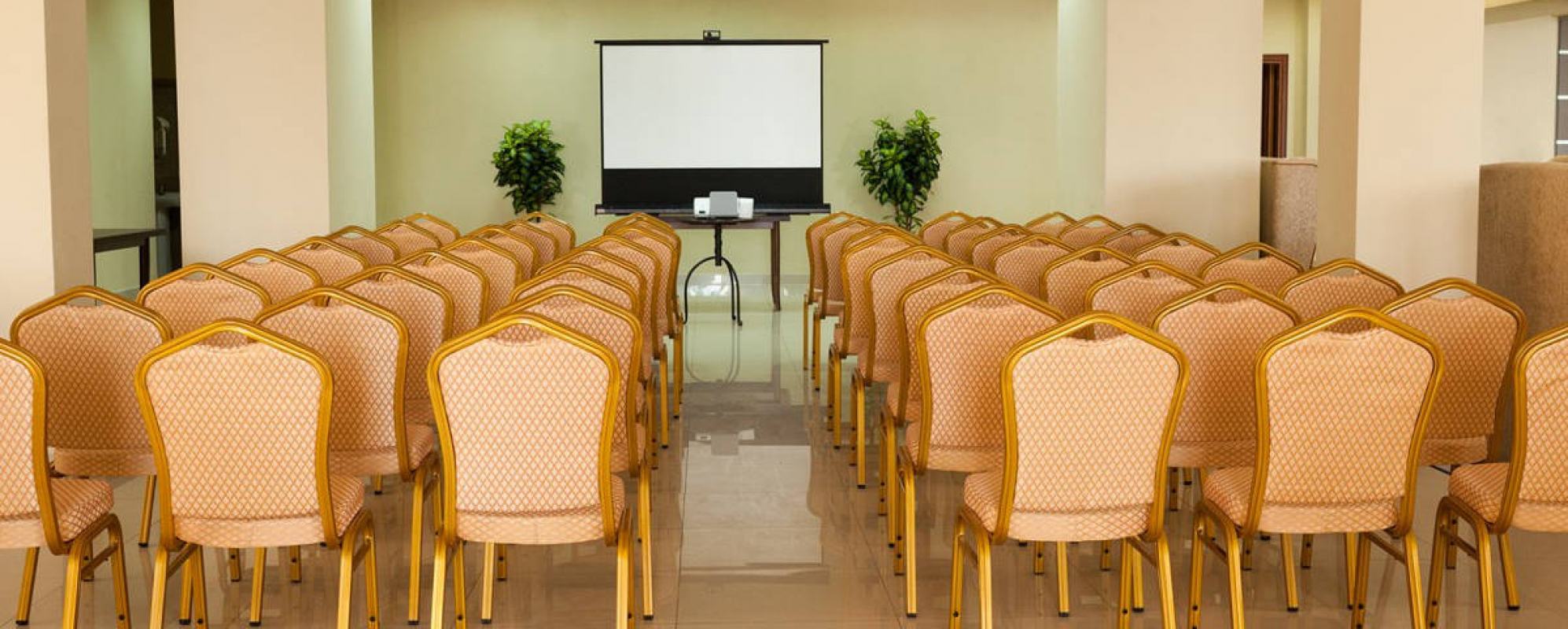 Фотографии конференц-зала Лобби-Бар