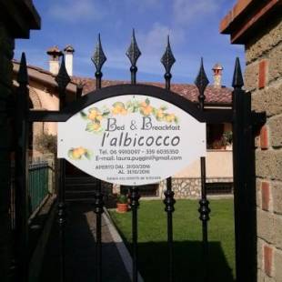 Фотографии мини отеля
L'Albicocco