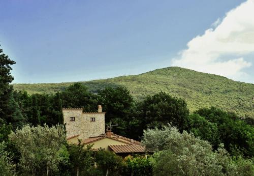 Фотография мини отеля B&B and Wellness Il Pomario di Montepiglio