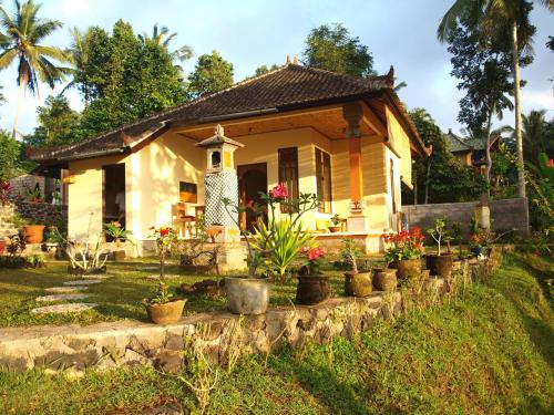 Фотография мини отеля Padoba Mimpi House