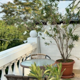 Фотография квартиры Апартаменты Джера 2