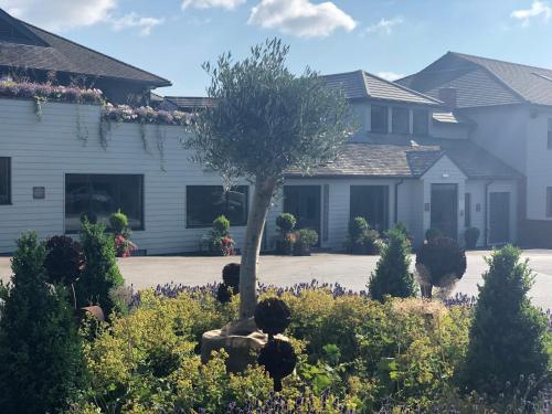 Фотография гостиницы All Saints Hotel