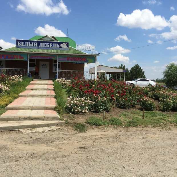 Фотография мотеля Белый Лебедь