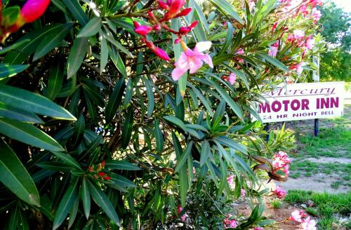 Фотография мотеля Mercury motor inn