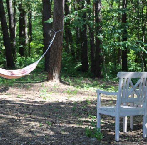 Фотографии базы отдыха
Болотов Два