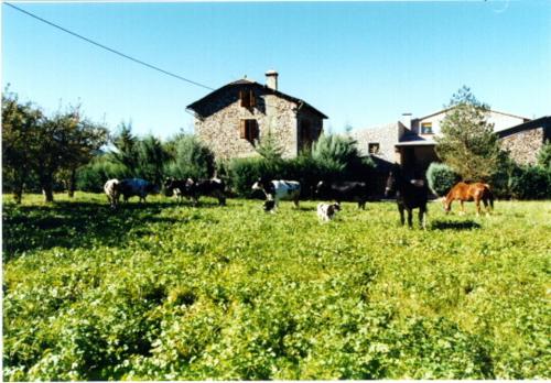 Фотографии гостевого дома 
            Casa Rural La Vall del Cadi