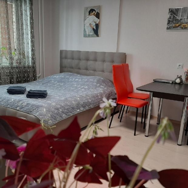 Фотографии квартиры 
            Апартаменты уютная студия у Эльгрина