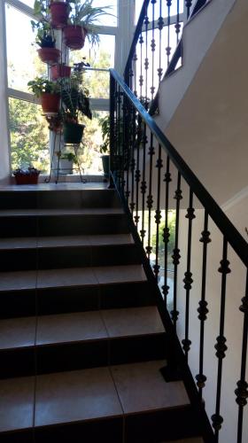 Фотографии гостевого дома
Аксиния