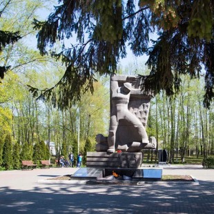 Фотография памятника Памятник Воину-освободителю