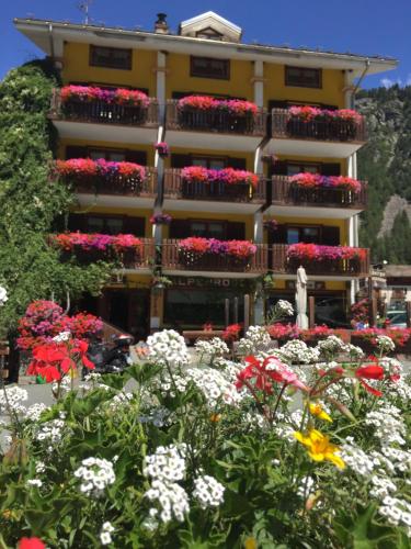 Фотографии гостиницы 
            Albergo Alpenrose Ski&Bike Mountain Hotel